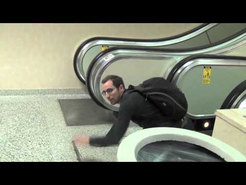 TBA--The Bluths Exposed