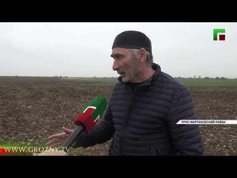 В Чеченской Республике продолжаются посевные работы