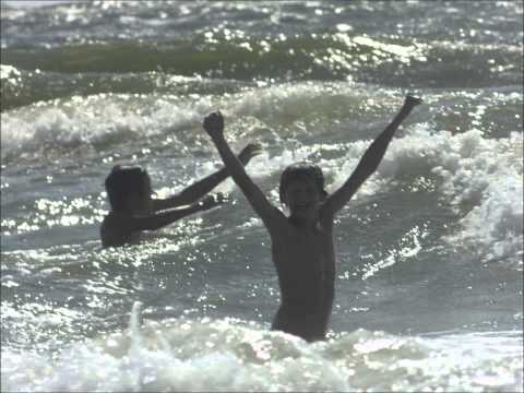 Beachboys making my day