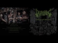 Devouring - Suffering and Deformity (OFFICIAL AUDIO)