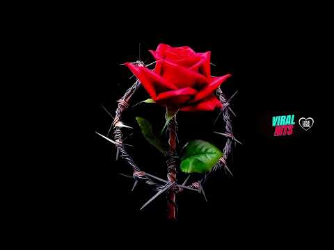 Pior Versão - MC Ryan SP, MC Joãozinho VT, Oruam e MC Kako (DJ Boy)