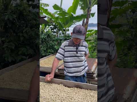 Fortalecimiento productivo y ambiental