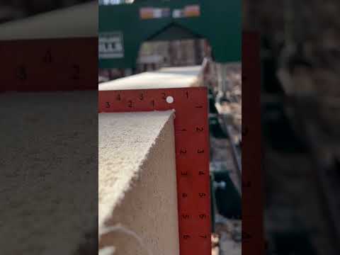 Tulip Poplar History and Milling #shorts #viral #wood #sawmill #diy #history #construction #outdoor