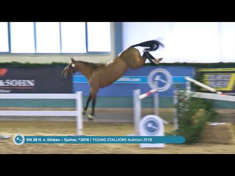 KN 28 v. Dinken / Quinar - Freispringen