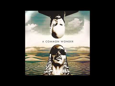 A Common Wonder - The Sixth Wonder (Bonus Track) (Prod. Amerigo Gazaway)