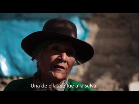 Testimonio de Eugenia Altamirano Huamán