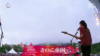 Kinoko teikoku