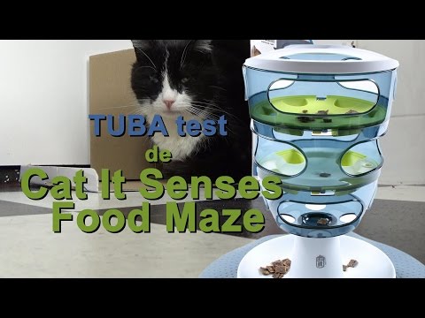 Tuba test de Cat It Senses Food Maze
