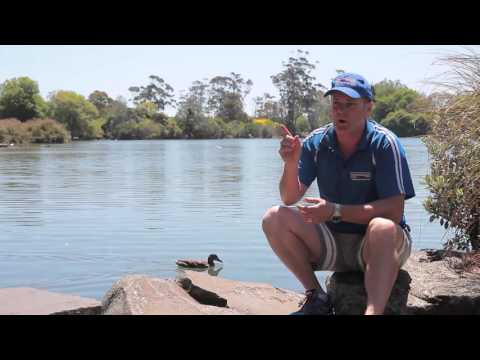 SOLD - 1/58 Taylors Road, Mt Albert - Tony Buckwell