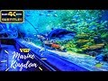Fish Aquarium To Visit Near Me