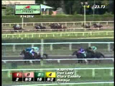 1RA CARRERA DOMINGO 14 DE SEPTIEMBRE 2014 HPR