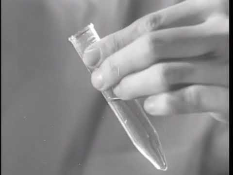 ヒト 18 番染色体について詳しく解説