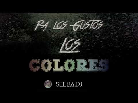INTRO + PA LOS GUSTOS LOS COLORES - RTK - SEEBA DJ 2020