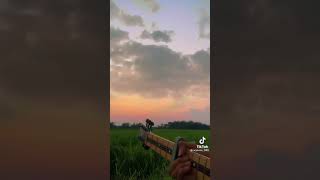 Download lagu CEPU - Dhyo Haw ( Cover Arya ) Story Wa mp3