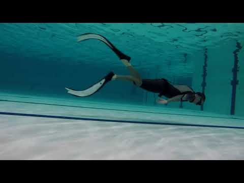 Duikclub Barracuda - Dynamic Vrijduiken Barracuda