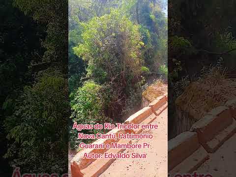 Rio Tricolor, entre Nova Cantú, Guarani e Mambore Pr