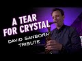 A Tear For Crystal - Randal Clark - David Sanborn Tribute
