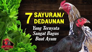 Download lagu 7 Types of Vegetables/Leaves That Are Beneficial for Chickens mp3