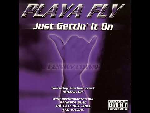 PLAYA FLY - JUST AWAKEN SHAKEN