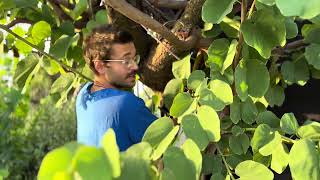 Making of Goodwin Island 43