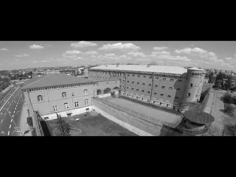 Pluto Autentyk - Uliczny styl