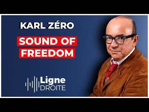 Sound of Freedom : le film le plus détesté des médias mainstream ! - Karl Zéro
