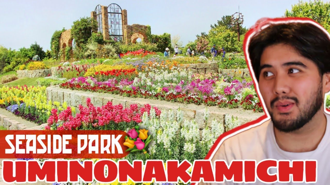 Join a traveler on a stroll through Uminonakamichi Seaside Park.