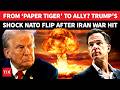 NATO Paper Tiger No More Trump S SURPRISE U Turn After Crushing Iran War Blow Watch
