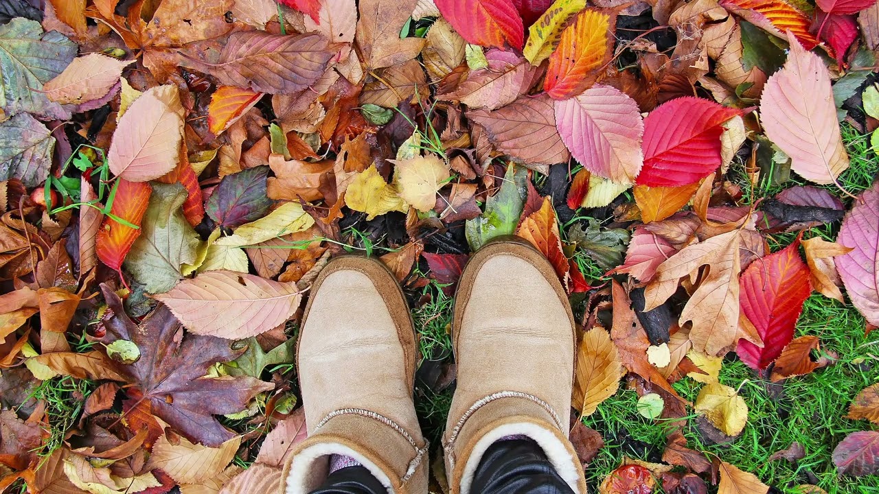 What are the summer months in Ireland? Tipseri