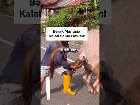 Hewan Berak PALING AJAIB!!