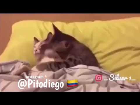 No pudo tocarle la teta a mi mujer