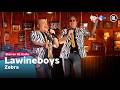 Lawineboys - Zebra [LIVE] // Sterren NL Radio