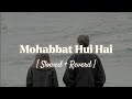 Mohabbat Hui Hai Slowed Reverd Love Song Lofi Lyrics