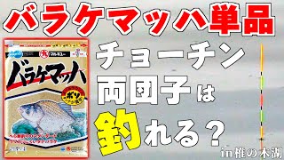 検証企画！バラケマッハ単品のチョーチン両団子は釣れるのか？【埼玉県椎の木湖】