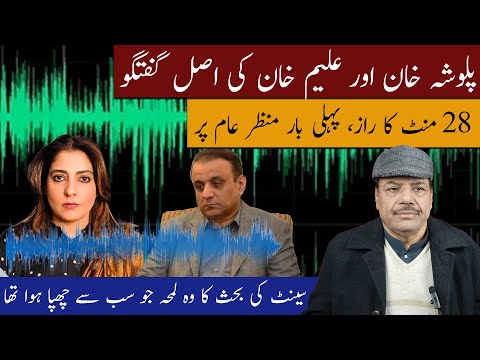 Exclusive Audio: Palwasha Khan vs Aleem Khan | 28-Minute Heated Senate Exchange