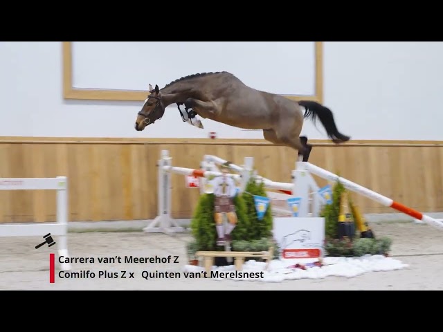 Carrera van’t Meerehof Z