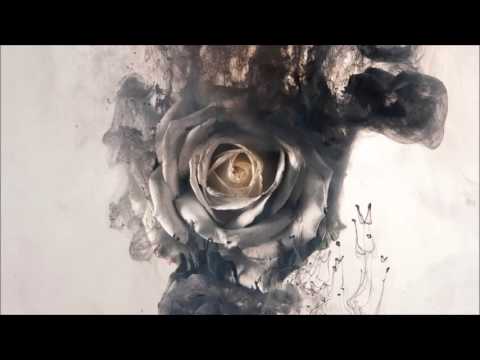 Hyena (acoustic) video