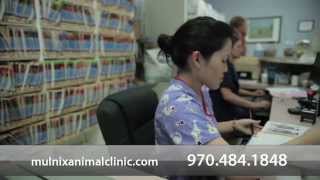 preview picture of video 'Mulnix Animal Clinic -- Short | Fort Collins, Colorado'