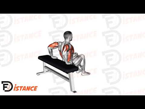 Exercice Dips sur banc (genoux fléchis)