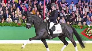 Video koně High Light AWK