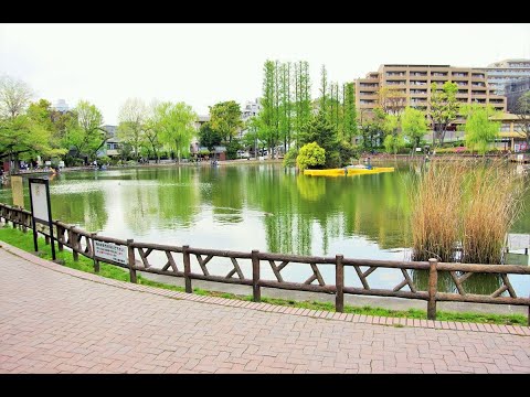 動画サムネイル