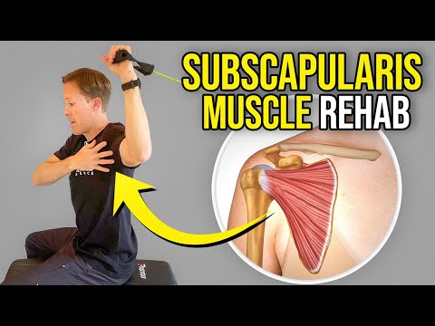 5 Exercises for the Subscapularis Muscle (Rotator Cuff Rehab)