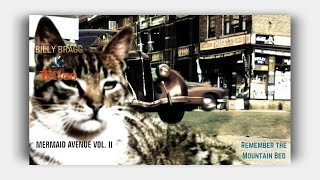 Billy Bragg &amp; Wilco - Remember The Mountain Bed (Lyrics)