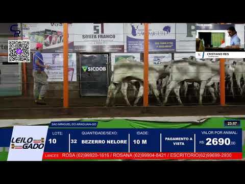 LEILÃO DA LEILOGADO  EM SÃO MIGUEL DO ARAGUAIA - GO 22/01/2026 | LEILÃO AO VIVO.