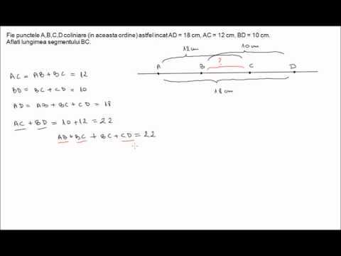 Segmente congruente (6e23)