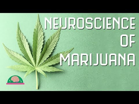 marijuana ajută să piardă grăsime