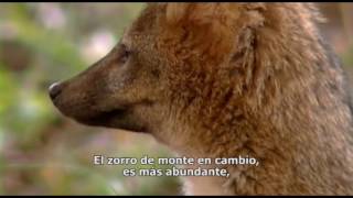 La vida en las tierras altas