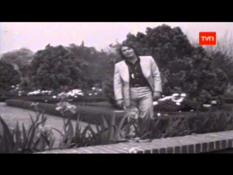 MK Localia - Museo Nino Bravo