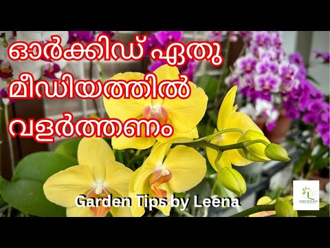 Which Potting Mix is Best for Orchids / Pros & Cons Explained  with My Orchid Setup