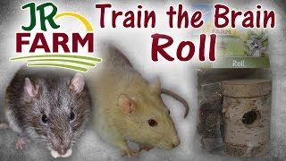 Review: JR Farm Train the Brain Roll Intelligenzspielzeug (deutsch)